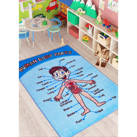 ANATOMY ANTI-SLIP MAVİ ÇOCUK HALISI 200X290 CM