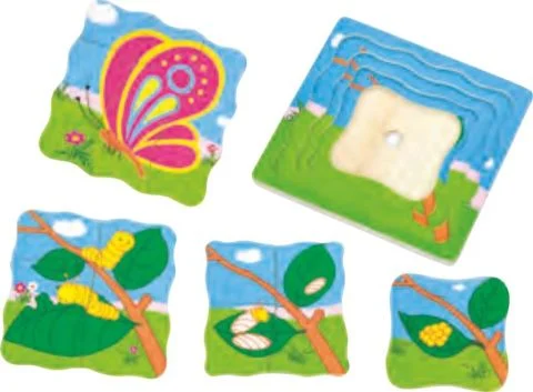 kelebek-gelisim-evreleri-puzzle-3377_min